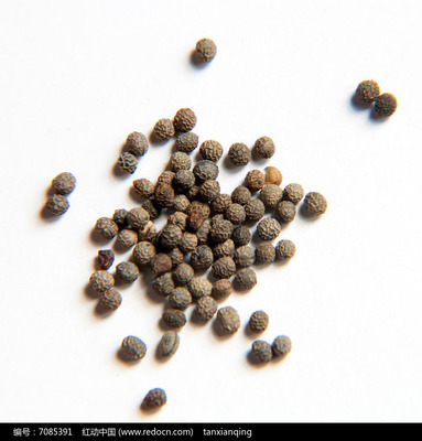 花卉種子 花菱草種子的識(shí)別與種植指南